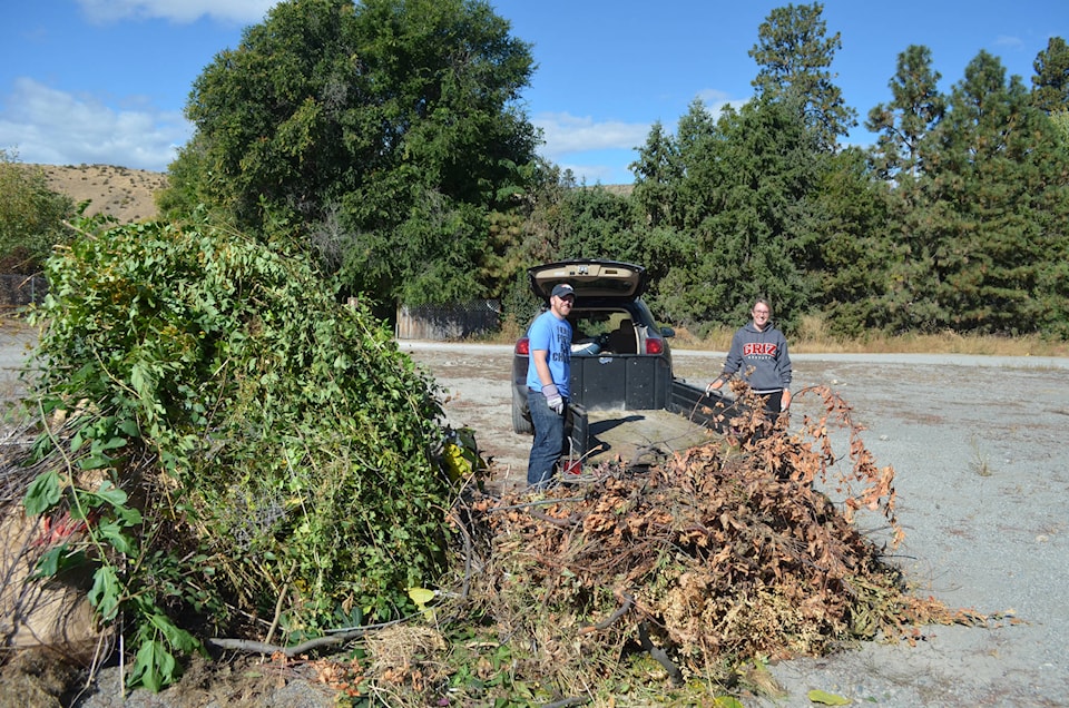 9560717_web1_GT-Steinman-yard-waste-40