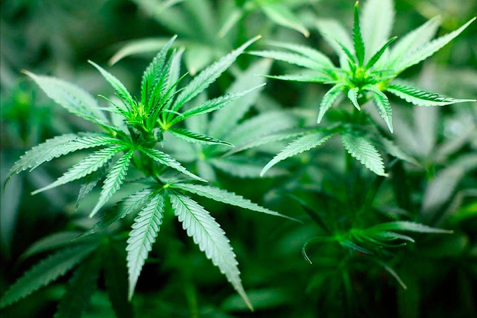 10283024_web1_pot-T
