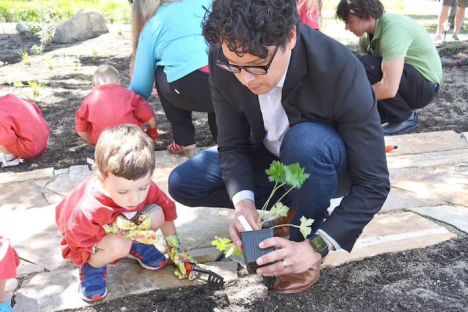 10463723_web1_170627-KCN-indigenous-garden