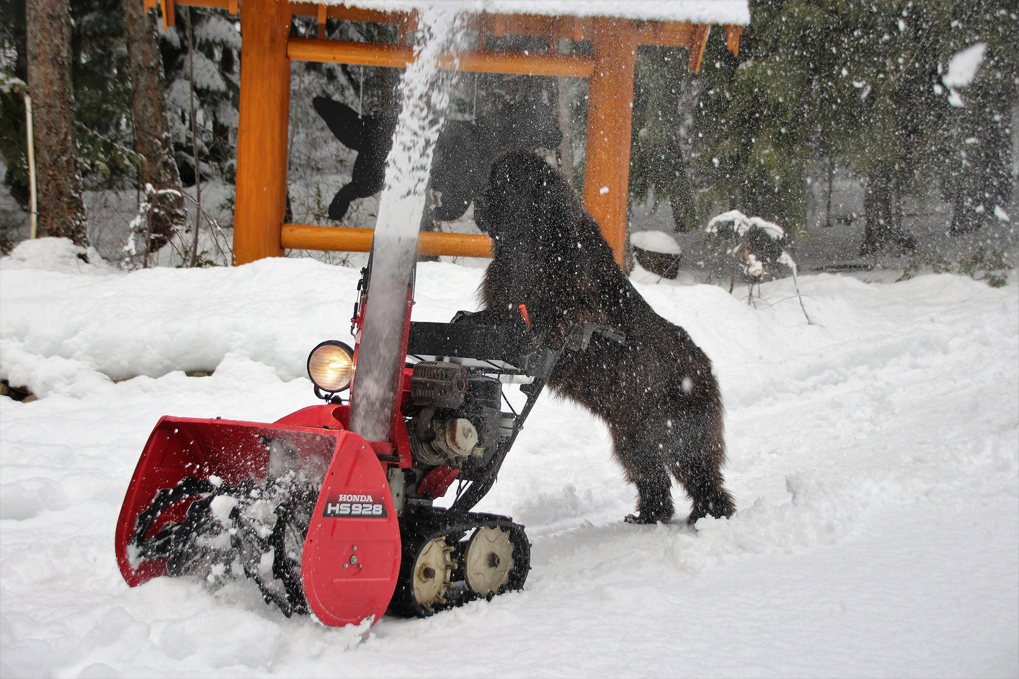 10478738_web1_180207-SAA-Morgansnowblower2