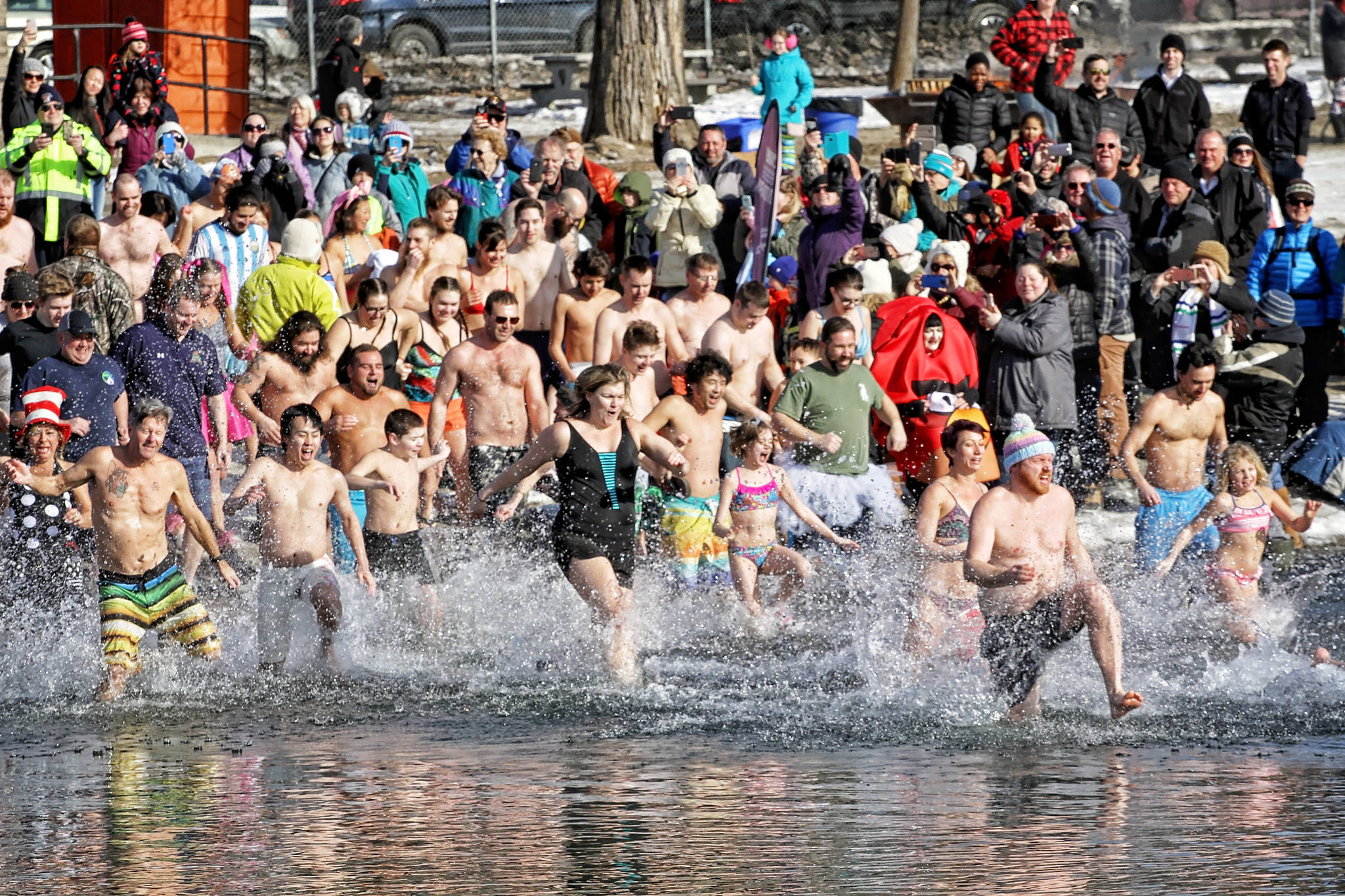 10578242_web1_PolarBearSwim2