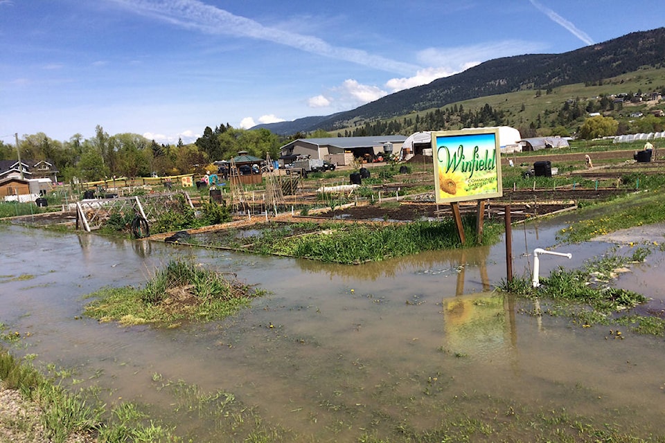 11213778_web1_170510_WIN_-Lake-Country-flooding-gardens