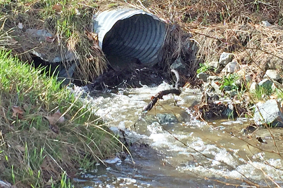 11415184_web1_180413-KCN_Cedar-Park-culvert