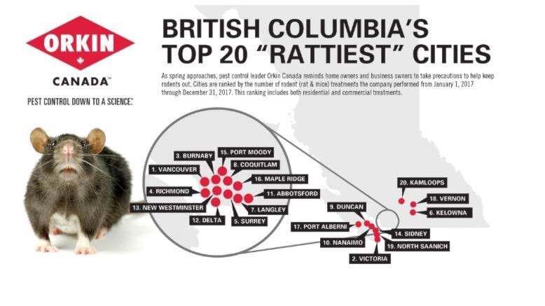 11606789_web1_ratty