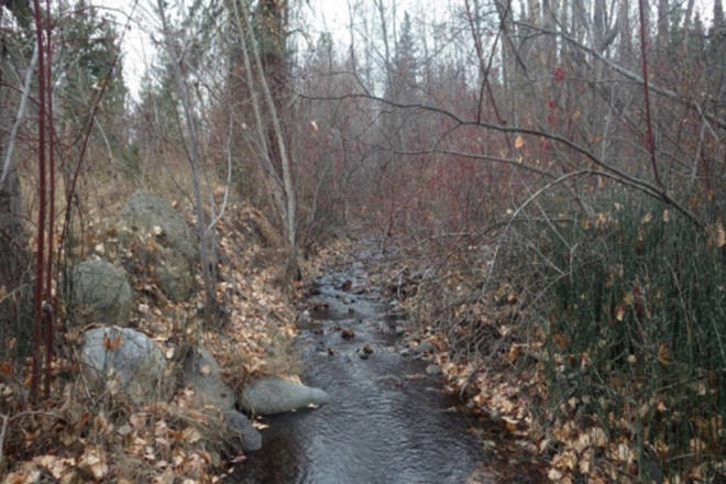 11757121_web1_180405-KCN-McDougall-Creek