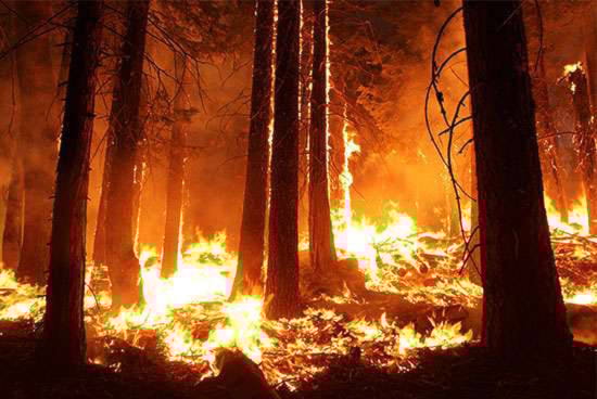 12252581_web1_180614-NAL-wildfire-stock-pic