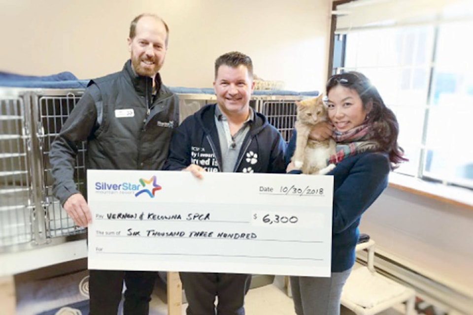 14205009_web1_181102-VMS-spca-silverstar_1