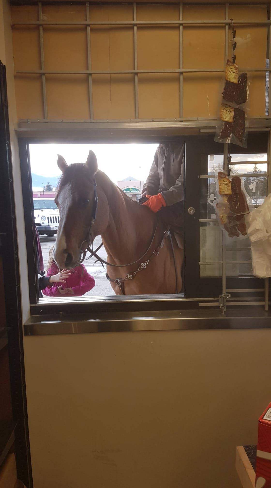 15941587_web1_190315-VMS-horse-drivethru-FLARE_3