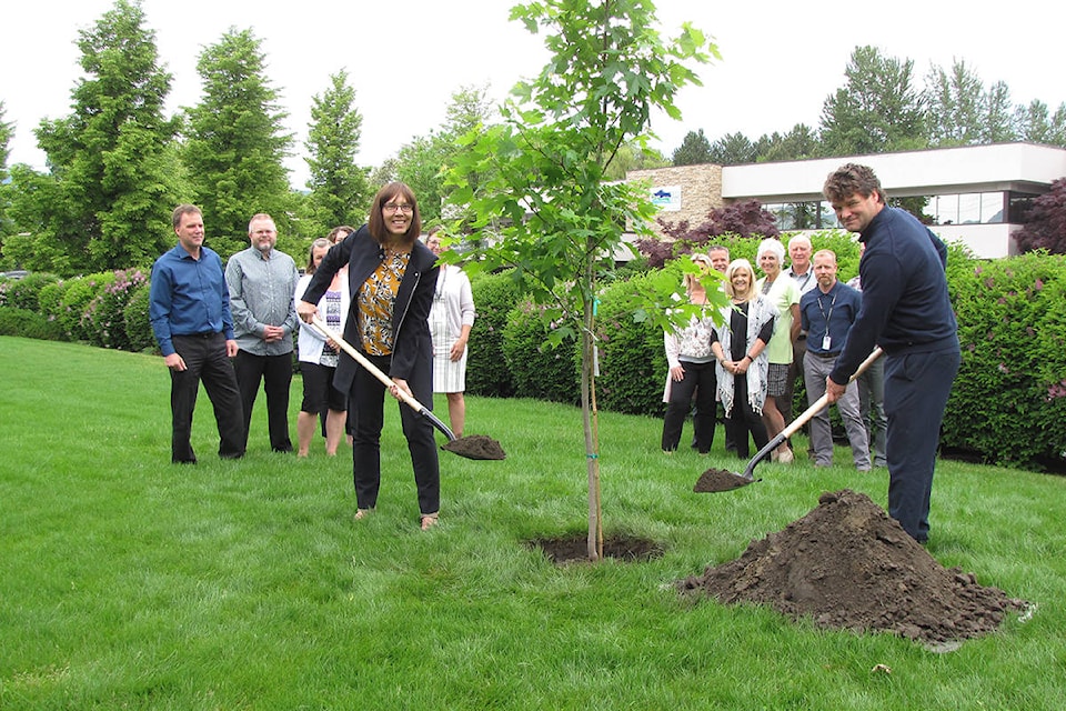 16975514_web1_190524-kcn-planting-Autumn-Maple-tree