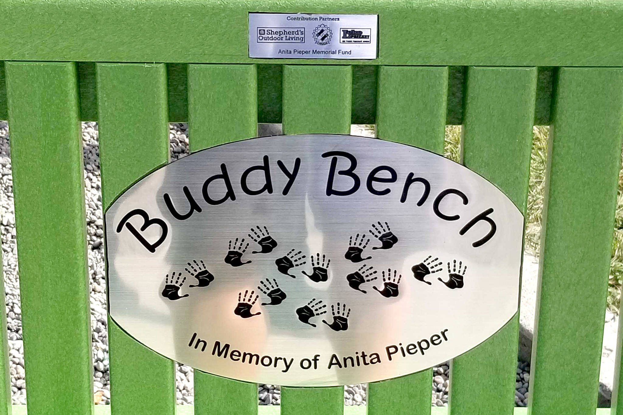 17299046_web1_190614-VMS-buddybench2