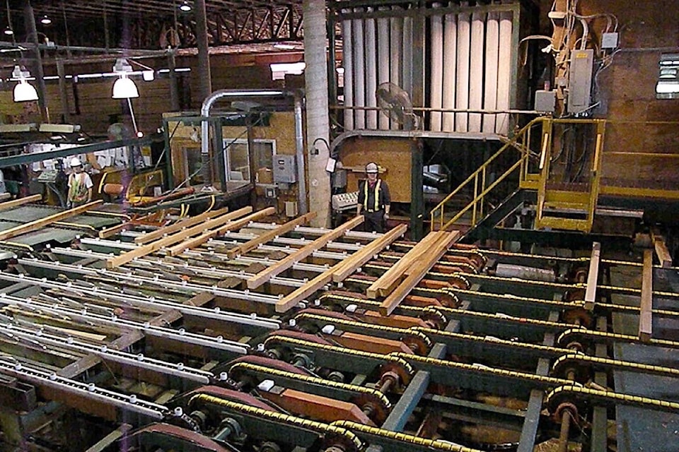 17760274_web1_20190302-BPD-wfp-sawmill-conveyor