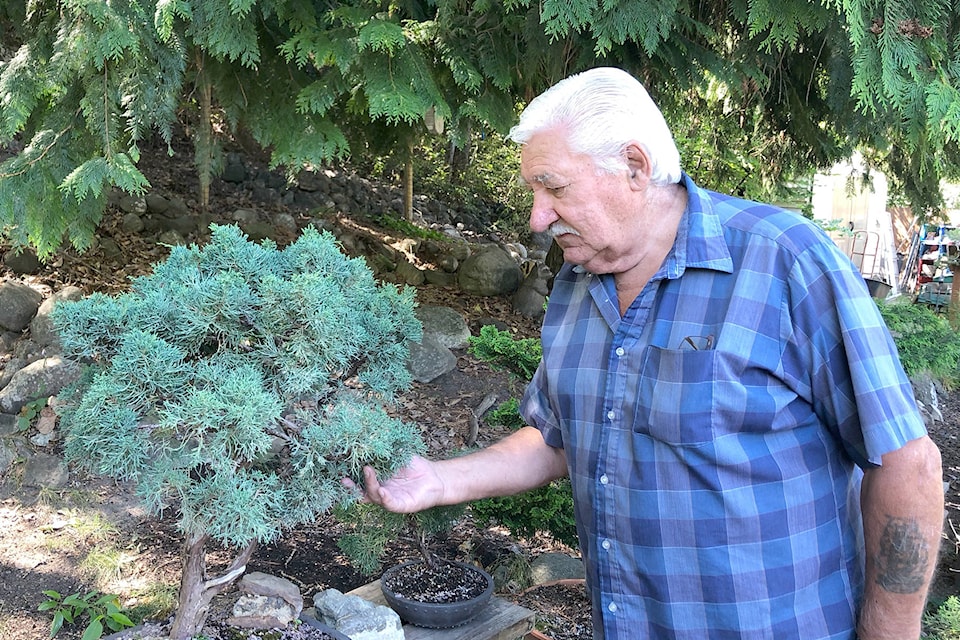 17873334_web1_190801-SUM-Bonsai-award_1