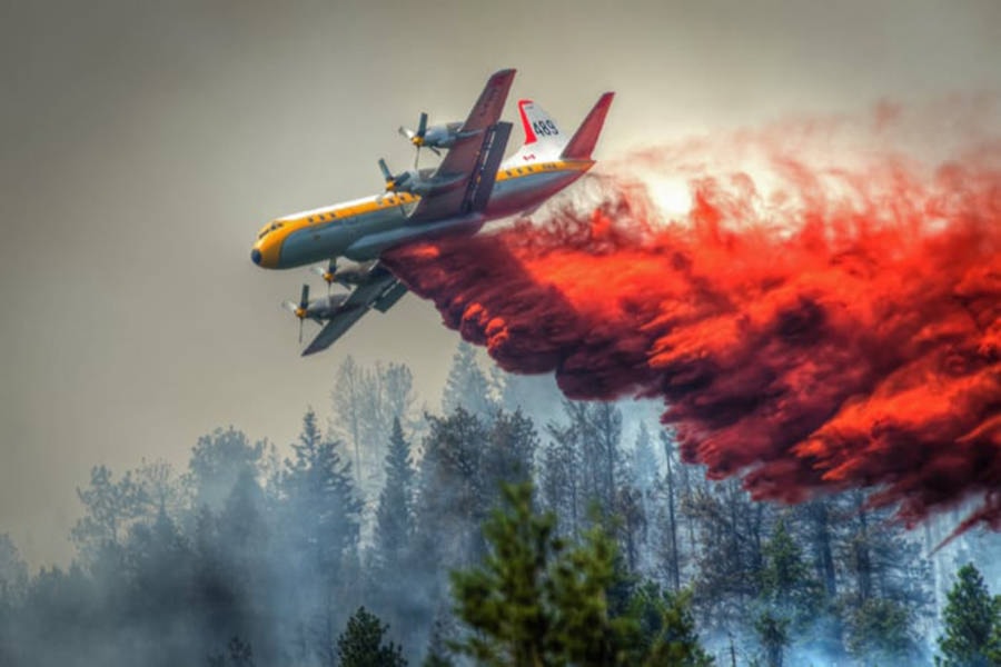 18002822_web1_181021_KCN_robert-gray-forest-fire