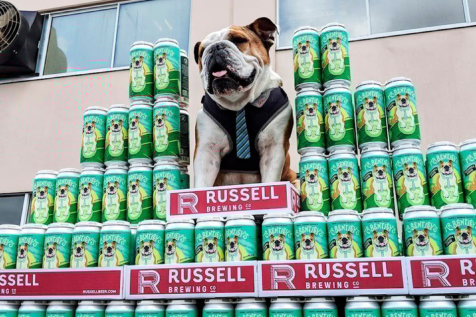 18151611_web1_MrBentley_RussellBrewing