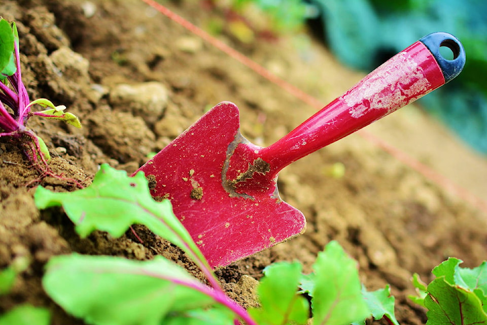 18819524_web1_Gardening