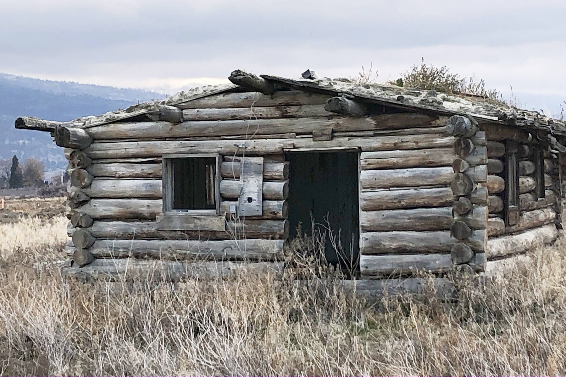 19568191_web1_191205-SUM-Sod-cabin_3