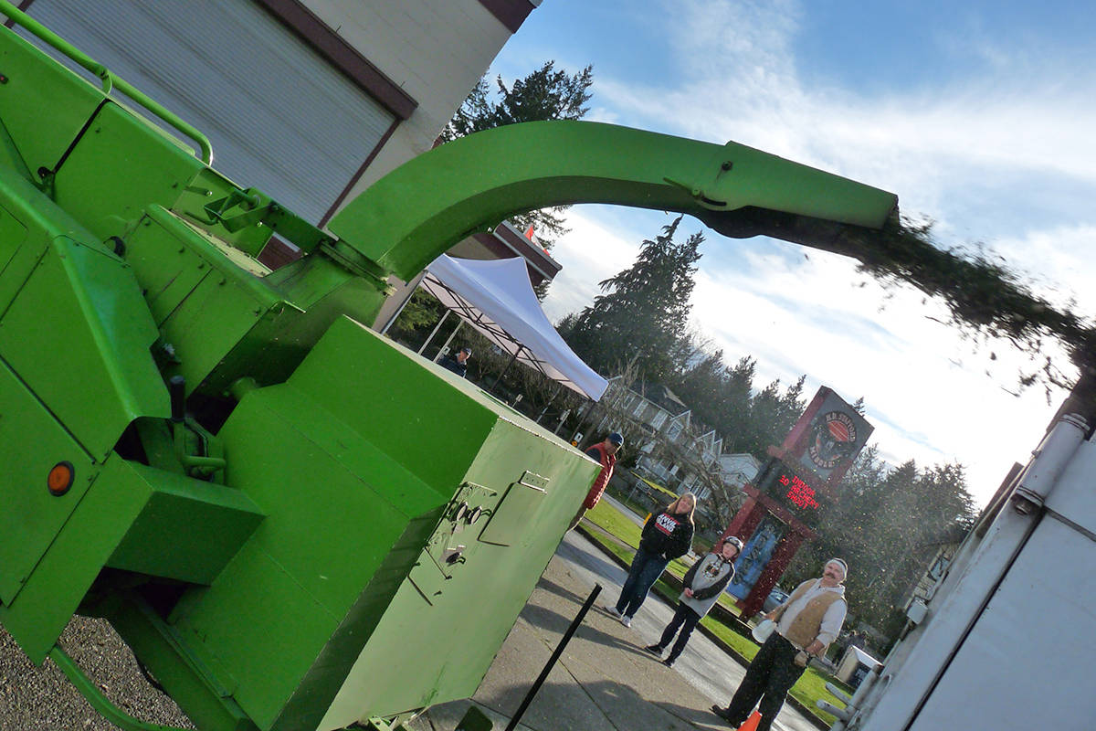 Free Christmas tree chipping at Glenmore Landfill Kelowna Capital News