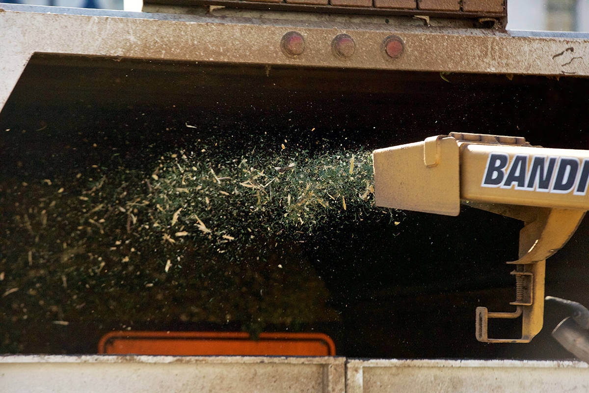 Tree chipping, the ecofriendly way to give your tree new life after