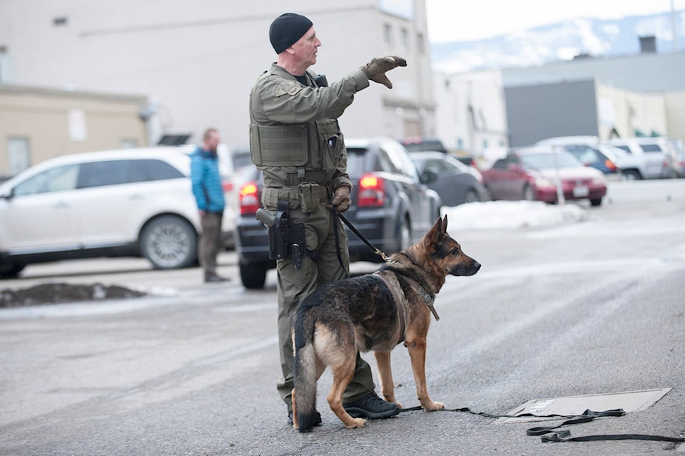A police officer and his dog could be seen in the alley way behind TD Bank in downtown Kelowna, Wednesday afternoon. (Michael Rodriquez - Capital News)