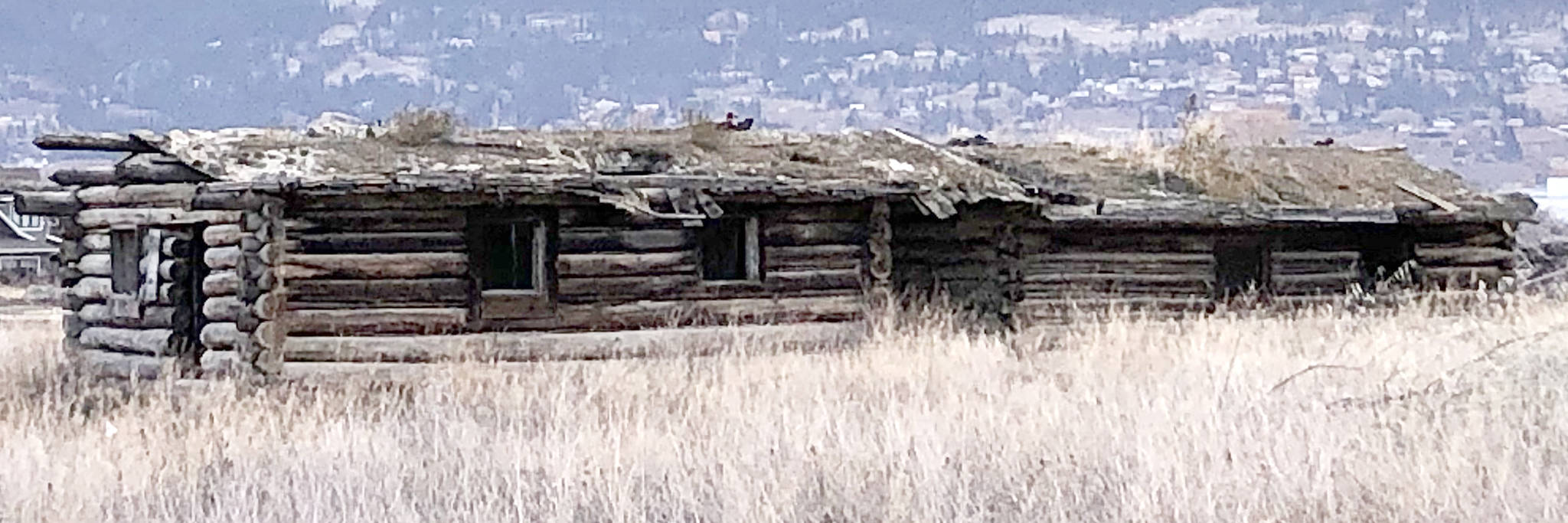 20400980_web1_191205-SUM-Sod-cabin_2