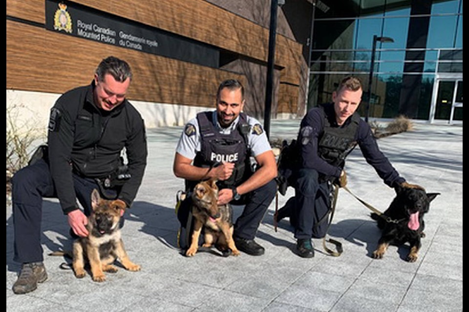 RCMP dog handlers with their beloved K-9 partners outside B.C. RCMP headquarters on Feb. 19, 2020. (RCMP handout)