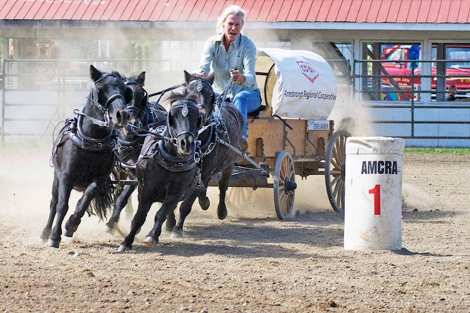 21321944_web1_20180909-SAA-Fall-Fair-JE-231