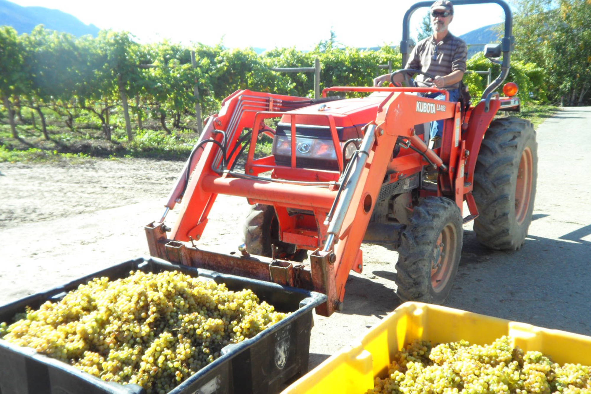 21430866_web1_200506-SAA-recline-ridge-winery-sale-Ratzlaff_2