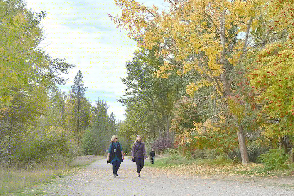21445079_web1_180929-KCN-fall-photo