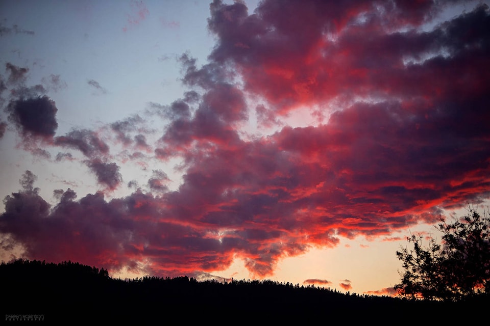 Darren Robinson captured photos of the pink and blue skies at sunset on May 12, 2020, and shared them to the Enderby Facebook group. (Darren Robinson - Facebook)