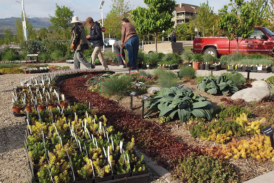 22032814_web1_200709_WEK_xeriscape-job-search--NEWS_1