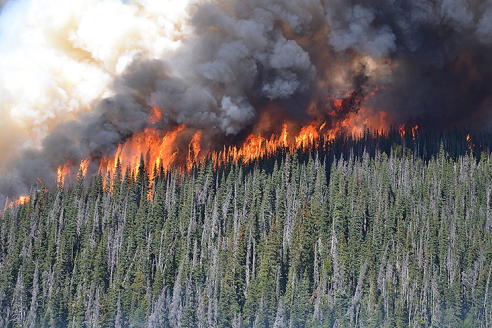 22285768_web1_forest-fire-eutsuk-lake-bcgovt-web