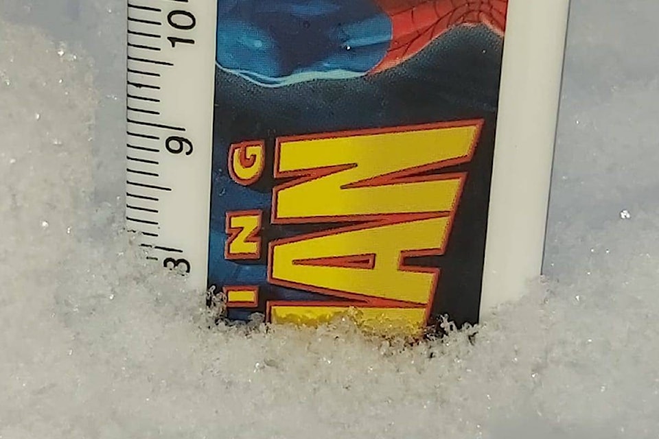 8 cm of snow fell in Southeast 鶹ѡ - Heather