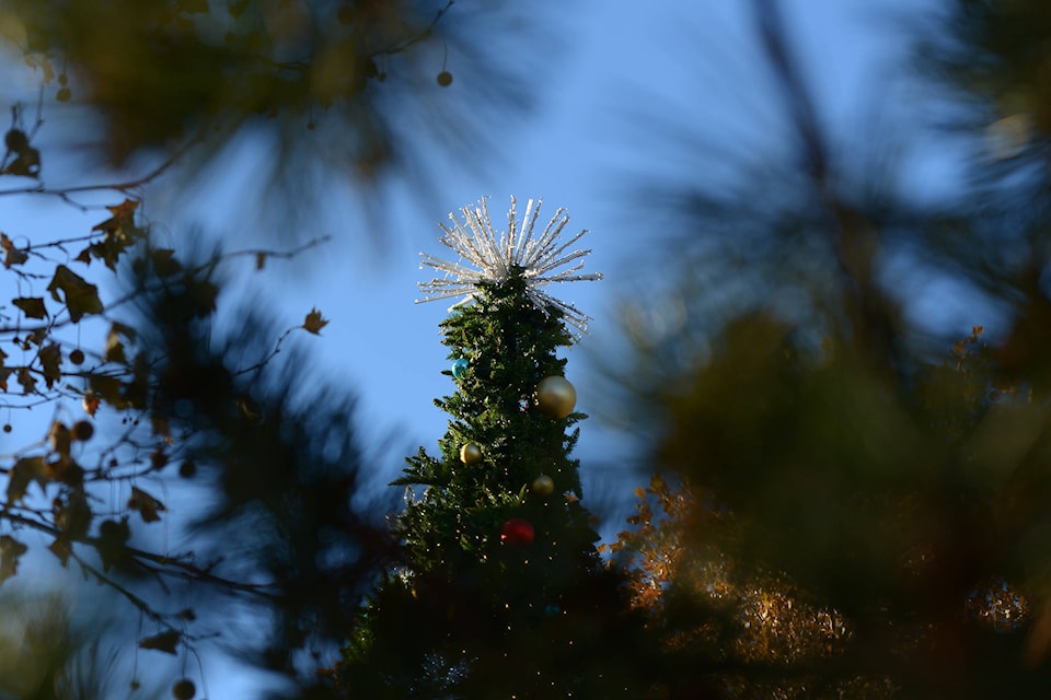 (Phil McLachlan - Capital News) The Christmas tree at Rutland’s Roxby Plaza stands tall in the sun on Dec. 1. It’s a sign that the holidays are just around the corner. (Phil McLachlan - Capital News)