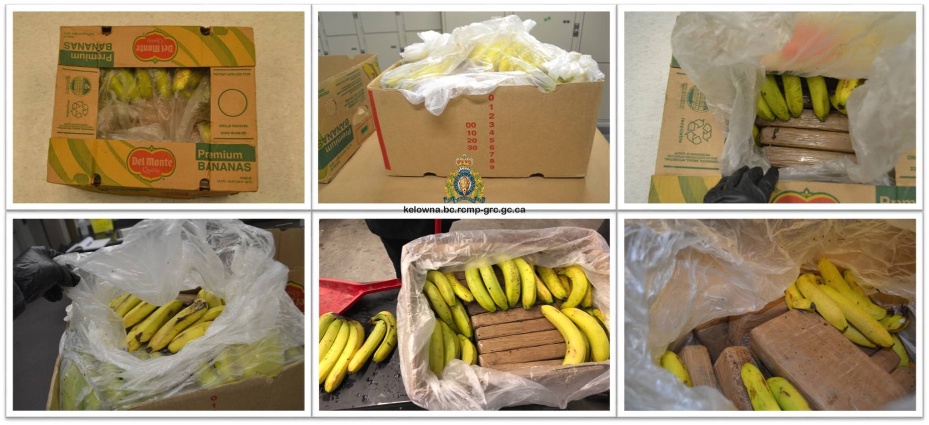 A collage of photos captured by investigators as they examined the banana boxes. (RCMP photo)