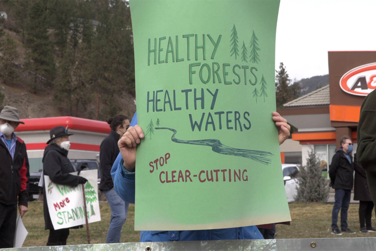 Peachland residents standup against clearcut logging Kelowna Capital