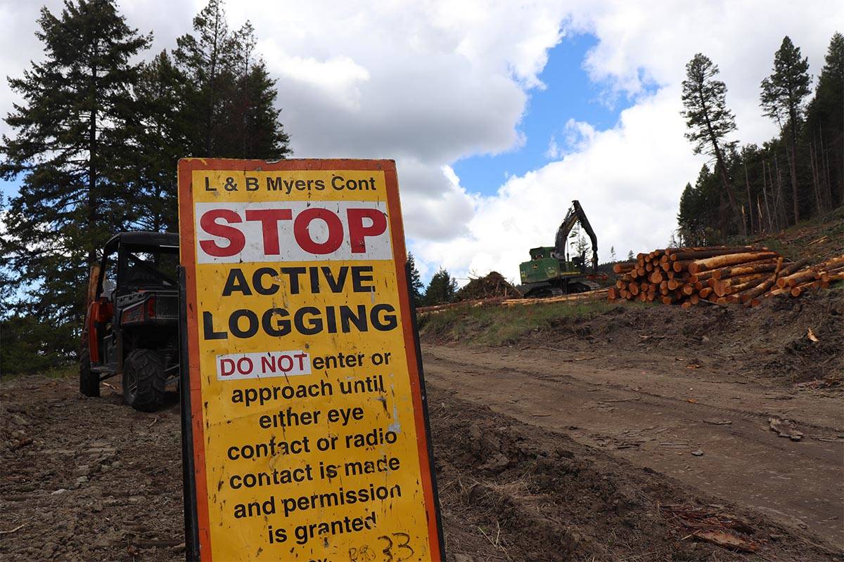 Joe Rich logging poses watershed risk residents Kelowna Capital News