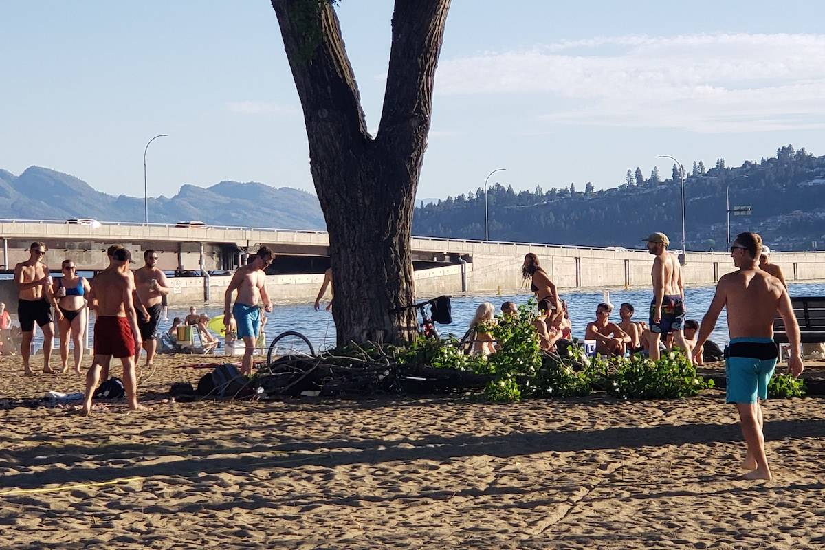 Patrons of Kelowna’s City Park have nearmiss with falling tree branch