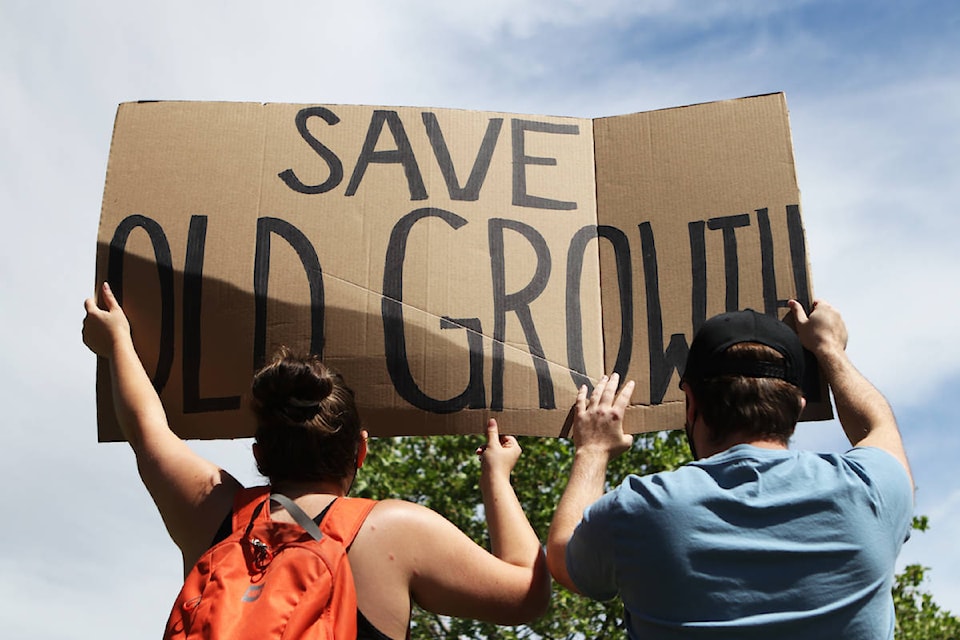 Demonstrators hold up a sign that reads “Save Old Growth” at a solidarity march and rally in Kelowna for blockaders at Vancouver Island’s Fairy Creek watershed on June 5. (Aaron Hemens/Capital News)