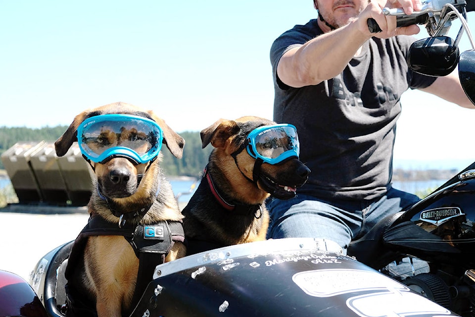 Athena and Venus, ready to ride. (Zoe Ducklow - Sooke News Mirror)