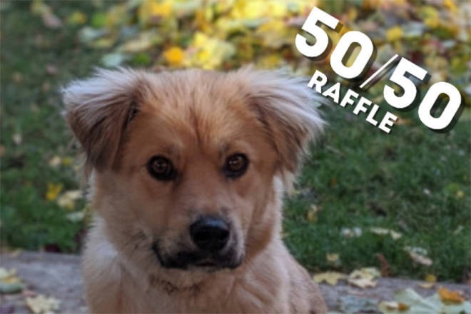 25717026_web1_210708-VMS-paws-raffle-PAWS_1