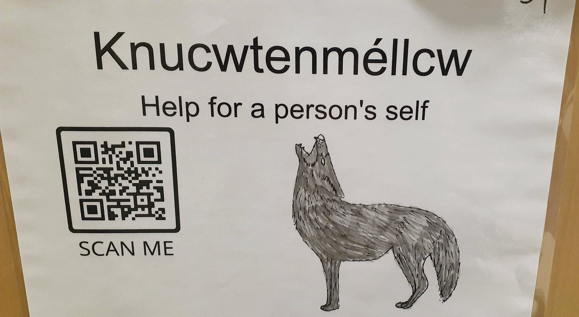 Posters and QR codes at Shuswap Middle School provide students and visitors with a visual record as well as recordings of an elder saying the Secw茅pemc words as well as a student voicing them in English. (Martha Wickett - Salmon Arm Observer)