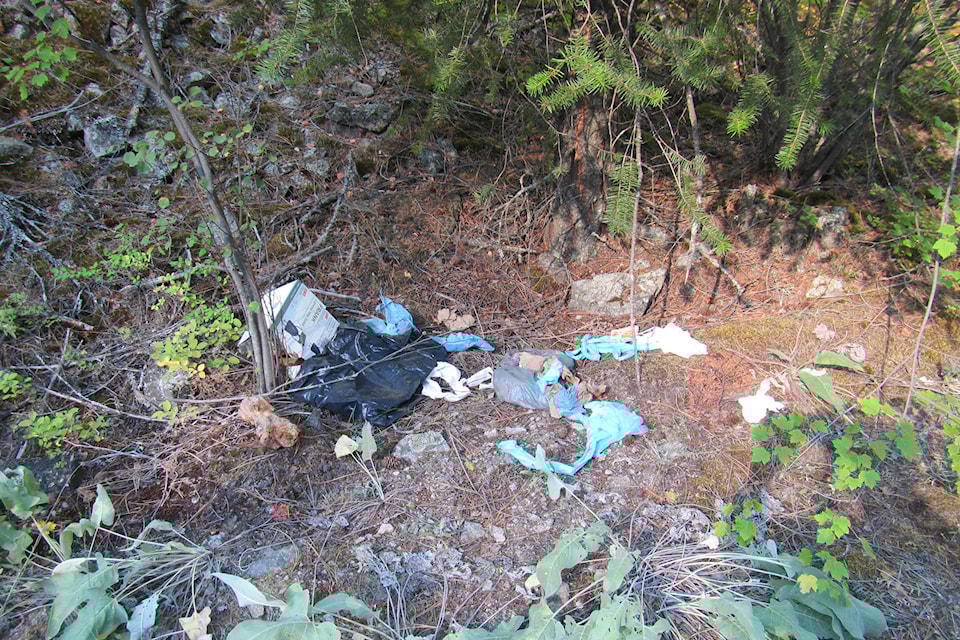Max Lake Road attracts illegal dumping, torched vehicles and other dangerous activity. (Bruce Turnbull/Contributed)