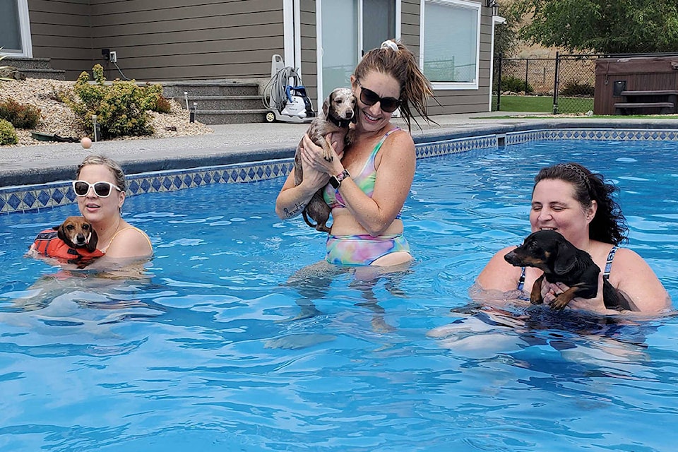 ’s Brandy Hansen with Sadie (from left), Jessica Young with Ella, both from , and Penticton’s Aleta Abbott with Myer were among the attendees in Vernon Sunday, Aug. 8, of the  Dachshund Club’s annual Pool Party. (Roger Knox - Morning Star)