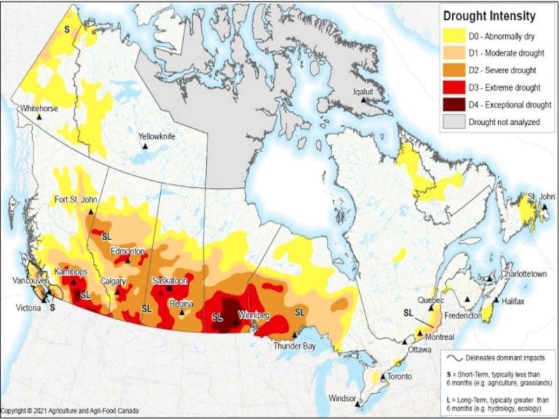 26135177_web1_210819-KCN-Drought-Okanagan-_1