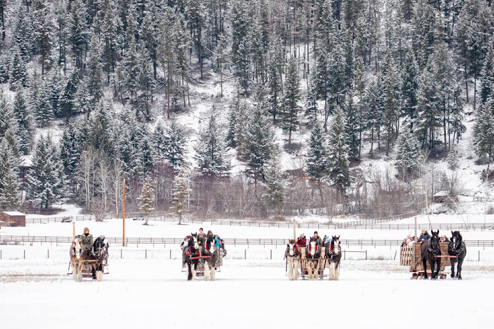 27482573_web1_211216-VMS-arm-harness-holidays-SLEIGHRIDE_2