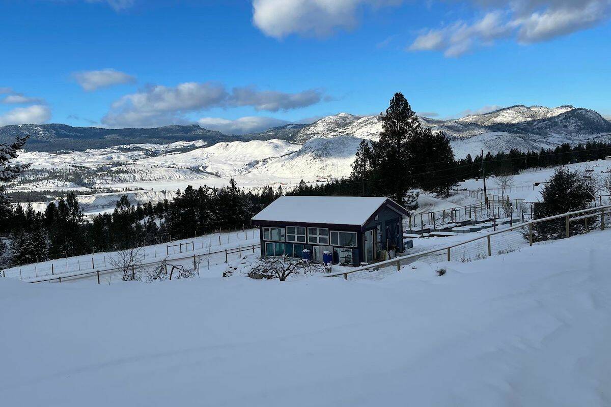 Cluckingham Palace in Prichard, B.C., where chickens are treated like royalty (Heather Blomgren)