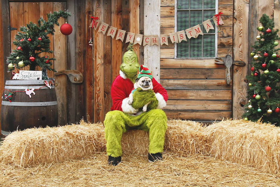 Santa Paws 2021. Image: Majic Greenwood