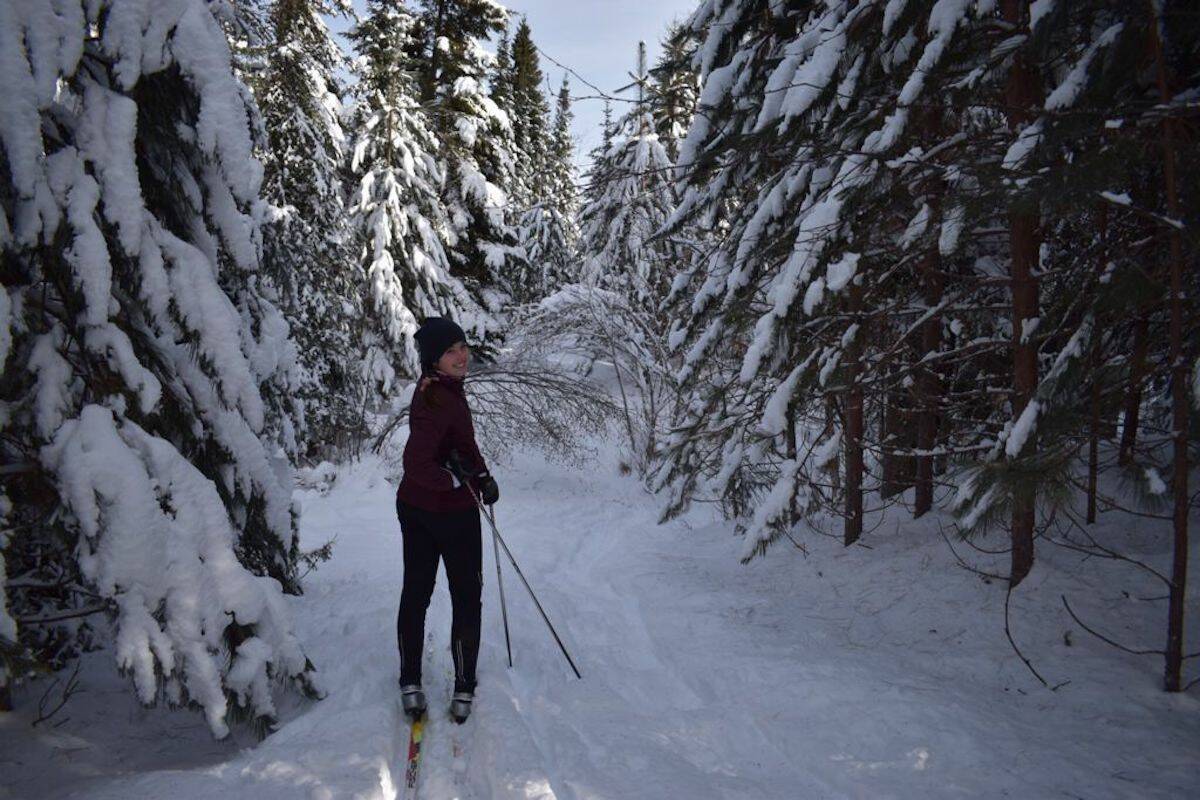 Trees offer protection from the wind on cold days (Britt Bailey)