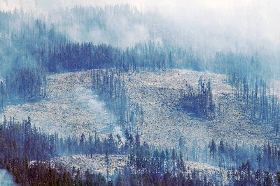 28221965_web1_210729-EVN-July-22-Sicamous-Fire_1