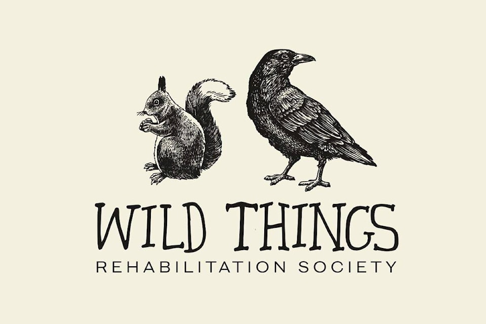 28415130_web1_220317-KCN-wildthings-rehabilitation-centre_1
